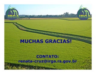 Mejoramiento genetico zona_templada_lac