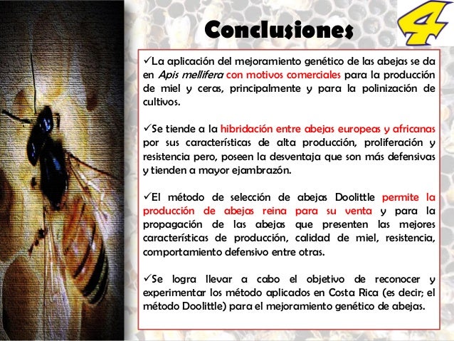 Mejoramiento genético de abejas