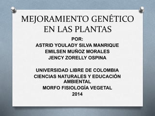 MEJORAMIENTO GENÉTICO 
EN LAS PLANTAS 
POR: 
ASTRID YOULADY SILVA MANRIQUE 
EMILSEN MUÑOZ MORALES 
JENCY ZORELLY OSPINA 
UNIVERSIDAD LIBRE DE COLOMBIA 
CIENCIAS NATURALES Y EDUCACIÓN 
AMBIENTAL 
MORFO FISIOLOGÍA VEGETAL 
2014 
 