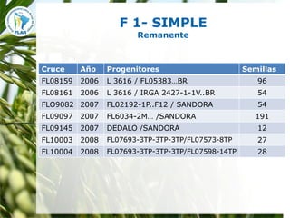 Mejoramiento para la zona templada FLAR