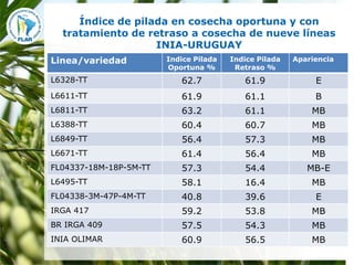 Mejoramiento para la zona templada FLAR