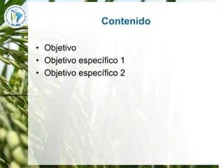 Mejoramiento para la zona templada FLAR