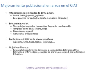 Mejoramiento poblacional en el CIAT