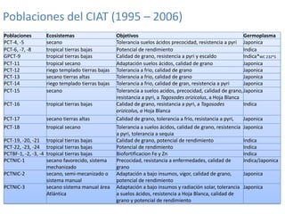 Mejoramiento poblacional en el CIAT