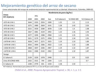 Mejoramiento poblacional en el CIAT