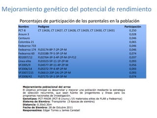 Mejoramiento poblacional en el CIAT