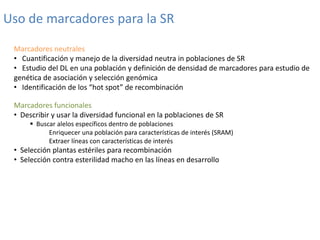 Mejoramiento poblacional en el CIAT