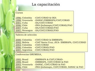Mejoramiento poblacional en el CIAT