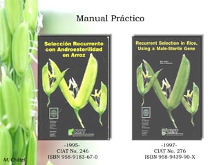 Mejoramiento poblacional en el CIAT