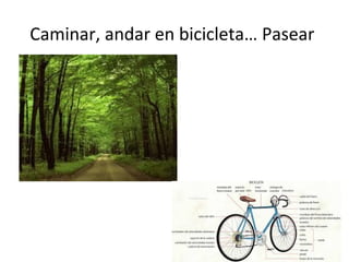 Caminar, andar en bicicleta… Pasear