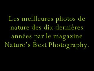 Les meilleures photos de nature des dix dernières années par le magazine Nature’s Best Photography. 