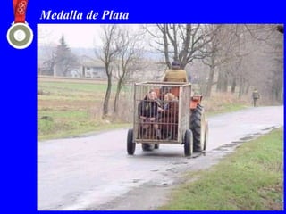 Medalla de Plata
 