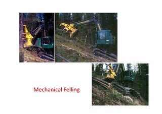 Mechanical FellingMechanical Felling
 