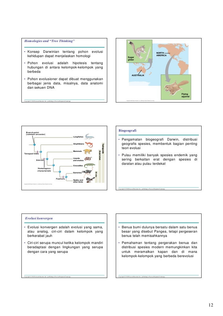 Mekanisme Evolusi 1 A ( Ch 22) Mekanisme Evolusi 1 A ( Ch 22)