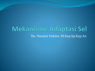 Ns. Nuraini Hakim, M.Kep.Sp.Kep.An
 