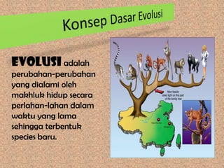 Mekanisme evolusi | PPTX