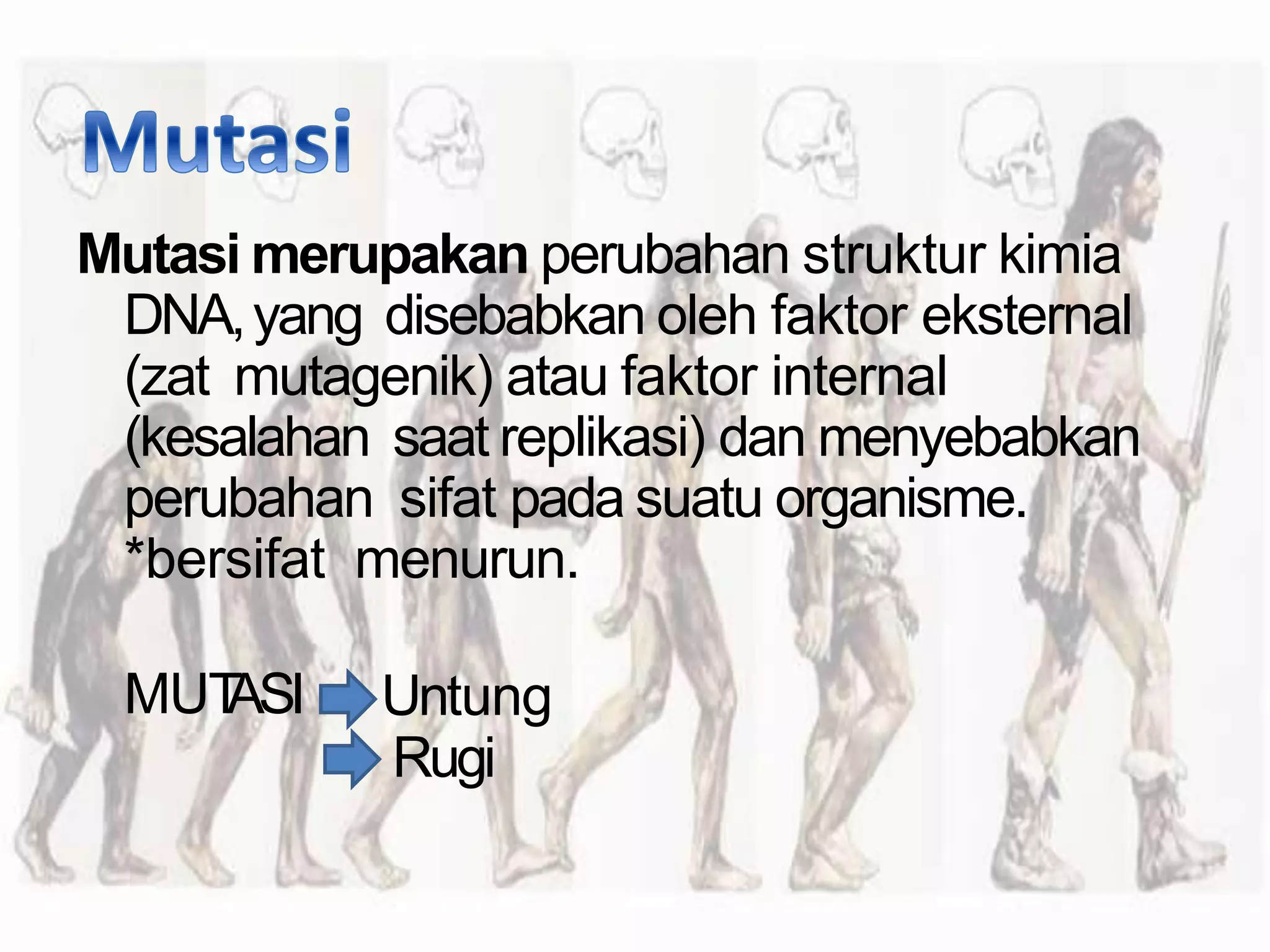 Mekanisme Evolusi.pptx