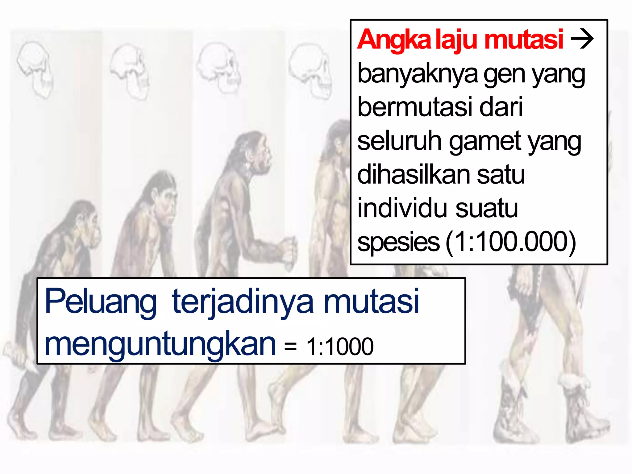 Mekanisme Evolusi.pptx