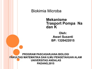 Biokimia Microba
Oleh:
Awari Susanti
BP: 1320422015
Mekanisme
Trasport Pompa Na
dan K
PROGRAM PASCASARJANA BIOLOGI
FAKULTAS MATEMATIKA DAN ILMU PENGETAHUAN ALAM
UNIVERSITAS ANDALAS
PADANG,2015
 