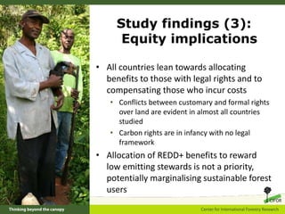 A global comparative review of REDD+ benefit sharing mechanisms