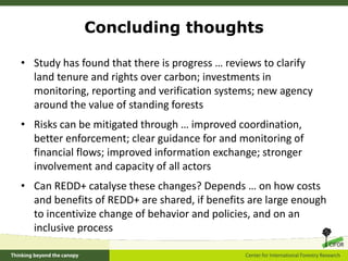 A global comparative review of REDD+ benefit sharing mechanisms