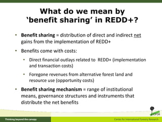 A global comparative review of REDD+ benefit sharing mechanisms