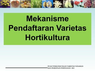 Mekanisme
Pendaftaran Varietas
Hortikultura
PUSAT PERLINDUNGAN VARIETAS TANAMAN
DAN PERIZINAN PERTANIAN 2012
 