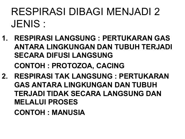 Mekanisme pernapasan