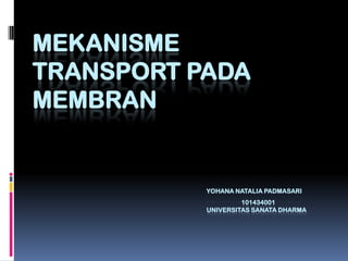 MEKANISME
TRANSPORT PADA
MEMBRAN


           YOHANA NATALIA PADMASARI
                    101434001
           UNIVERSITAS SANATA DHARMA
 