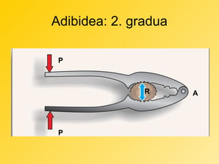 Adibidea: 2. gradua
P

R

P

A

 