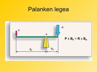 Palanken legea
R
P
A

P x BP = R x BR
BP

BR

 