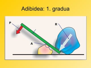 Adibidea: 1. gradua
P

R

A

 