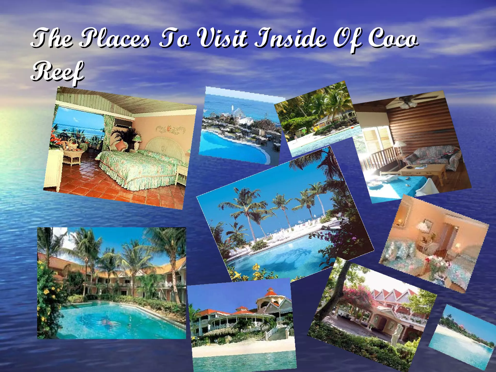 The Places To Visit Inside Of Coco Reef 