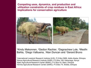 Competing uses, dynamics, and production and utilization constraints of crop residues in East Africa: Implications for conservation agriculture 1 Kindu Mekonnen,  2 Gedion Rachier,  3 Dagnachew Lule,  4 Mesfin Bahta,  1 Diego Valbuena,  1 Alan Duncan and  1 Bruno   Gerard International Congress on Water 2011:  Integrated Water Resources Management in Tropical and Subtropical Drylands  , Mekelle, Ethiopia, 19-26 September 2011   1 International Livestock Research Institute (ILRI), P.O. Box 5689, Addis Ababa, Ethiopia .  2 Kenya Agricultural Research Institute (KARI), P.O. Box 169, Kakamega, Kenya 3 Bako Agricultural Research Center (BARC), P.O. Box 03, Bako, Ethiopia 4 Sirinka Agricultural Research Center (SARC), P.O. Box 74, Woldia, Ethiopia 