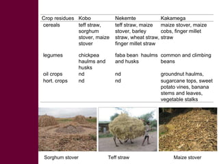 Competing uses, dynamics, and production and utilization constraints of crop residues in East Africa: Implications for conservation agriculture