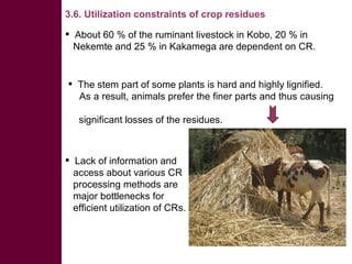 Competing uses, dynamics, and production and utilization constraints of crop residues in East Africa: Implications for conservation agriculture