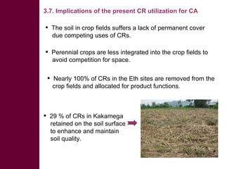 Competing uses, dynamics, and production and utilization constraints of crop residues in East Africa: Implications for conservation agriculture