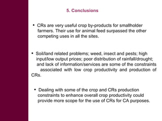 Competing uses, dynamics, and production and utilization constraints of crop residues in East Africa: Implications for conservation agriculture