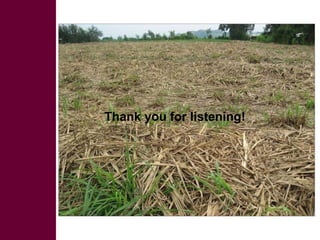 Competing uses, dynamics, and production and utilization constraints of crop residues in East Africa: Implications for conservation agriculture