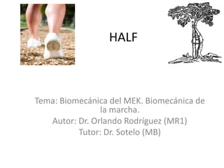 HALF
Tema: Biomecánica del MEK. Biomecánica de
la marcha.
Autor: Dr. Orlando Rodríguez (MR1)
Tutor: Dr. Sotelo (MB)
 