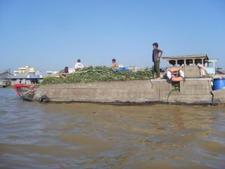 Mekong