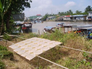 Mekong