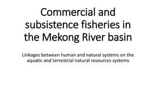 Commercial and
subsistence fisheries in
the Mekong River basin
Linkages between human and natural systems on the
aquatic and terrestrial natural resources systems
 