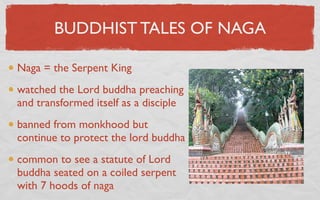 BUDDHIST TALES OF NAGA

Naga = the Serpent King
watched the Lord buddha preaching
and transformed itself as a disciple
banned from monkhood but
continue to protect the lord buddha
common to see a statute of Lord
buddha seated on a coiled serpent
with 7 hoods of naga
 
