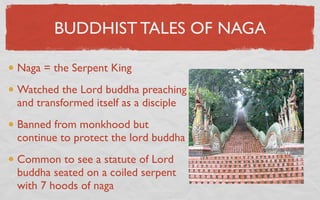 BUDDHIST TALES OF NAGA

Naga = the Serpent King
Watched the Lord buddha preaching
and transformed itself as a disciple
Banned from monkhood but
continue to protect the lord buddha
Common to see a statute of Lord
buddha seated on a coiled serpent
with 7 hoods of naga
 