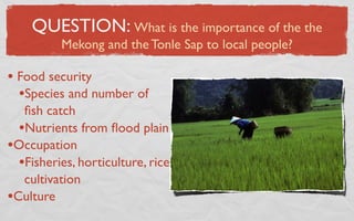 QUESTION: What is the importance of the the
          Mekong and the Tonle Sap to local people?

• Food security
  •Species and number of
   ﬁsh catch
  •Nutrients from ﬂood plain
•Occupation
  •Fisheries, horticulture, rice
   cultivation
•Culture
 