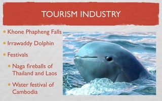 TOURISM INDUSTRY
Khone Phapheng Falls
Irrawaddy Dolphin
Festivals
  Naga ﬁreballs of
  Thailand and Laos
  Water festival of
  Cambodia
 