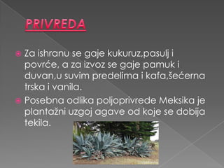  Za ishranu se gaje kukuruz,pasulj i
  povrće, a za izvoz se gaje pamuk i
  duvan,u suvim predelima i kafa,šećerna
  trska i vanila.
 Posebna odlika poljoprivrede Meksika je
  plantažni uzgoj agave od koje se dobija
  tekila.
 