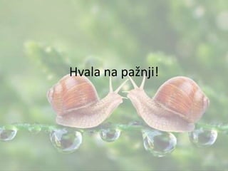 Hvala na pažnji!
 