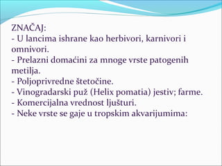 ZNAČAJ:
- U lancima ishrane kao herbivori, karnivori i
omnivori.
- Prelazni domaćini za mnoge vrste patogenih
metilja.
- Poljoprivredne štetočine.
- Vinogradarski puž (Helix pomatia) jestiv; farme.
- Komercijalna vrednost ljušturi.
- Neke vrste se gaje u tropskim akvarijumima:
 